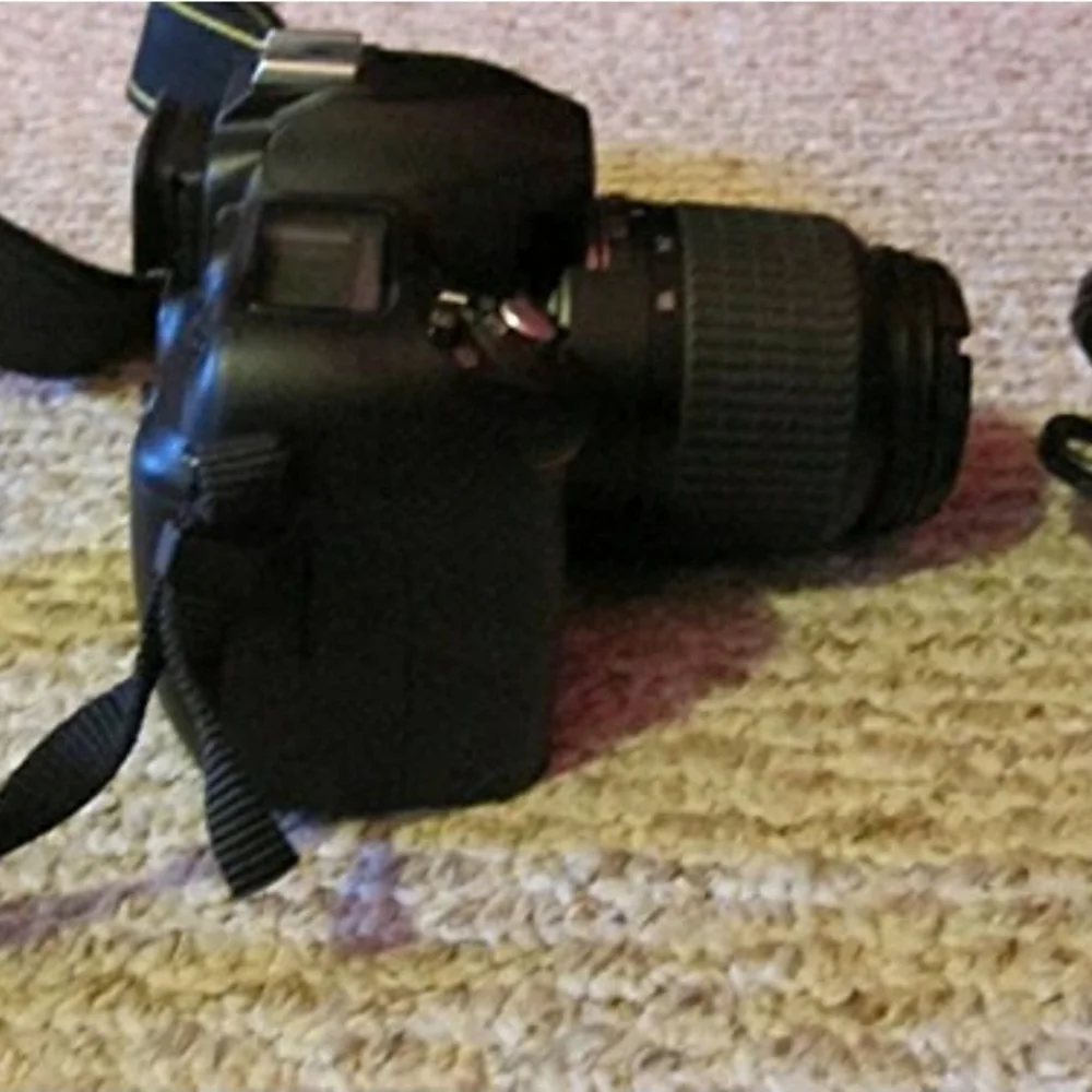 Nikon D50 6.1MP Digital SLR Camera